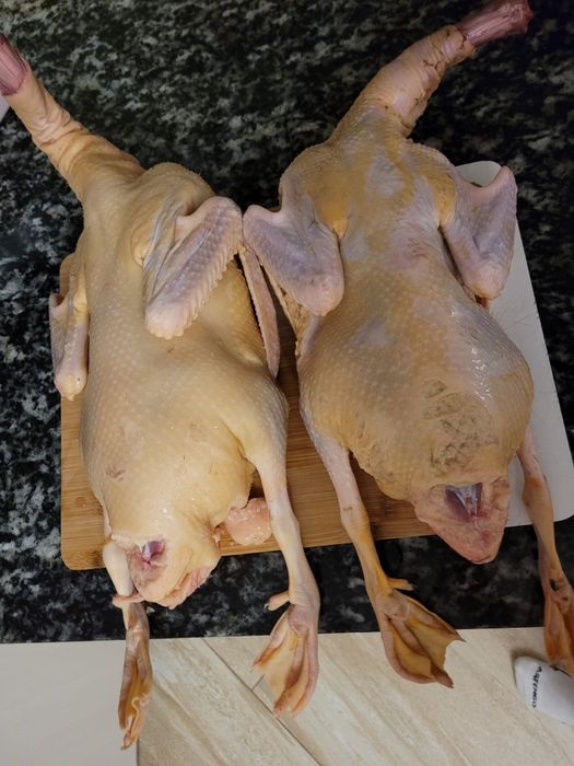 Rațe si  găini crescute în libertate