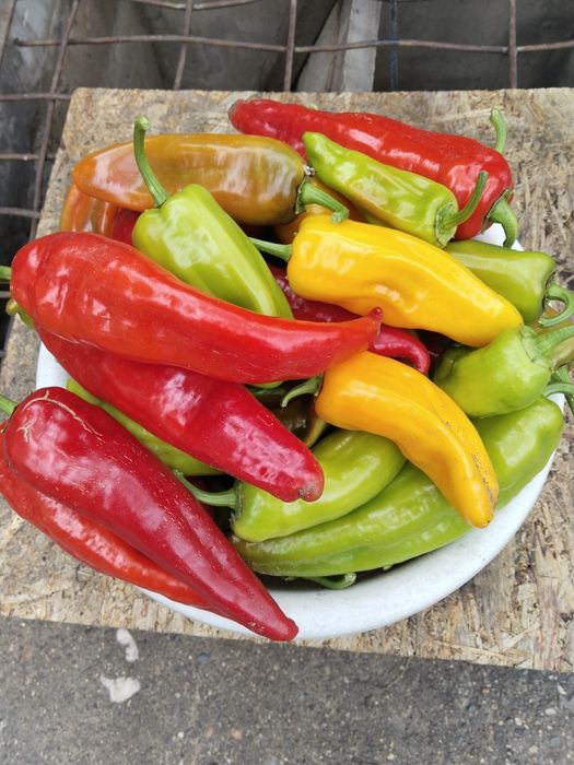 Продам Домашний горький перец