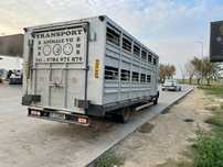 Animale vii  capre oii vaci transport  autorizat în orice zona pe 2 ni
