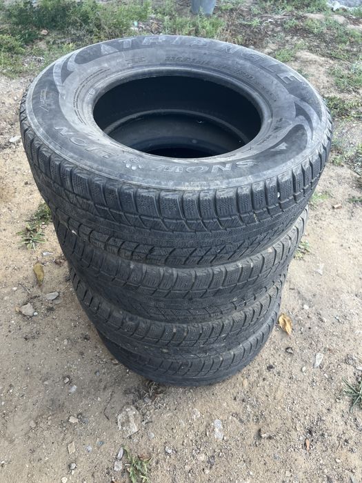 Шины зимние Triangle