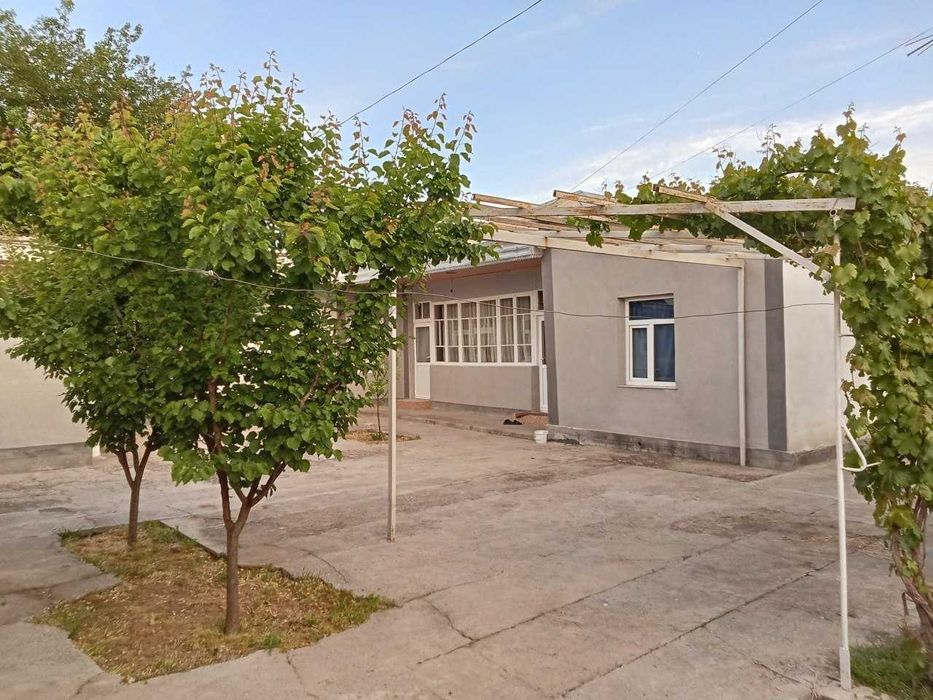 Jizzax viloyati Paxtakor tumanida hovli sotiladi (6 sotix).