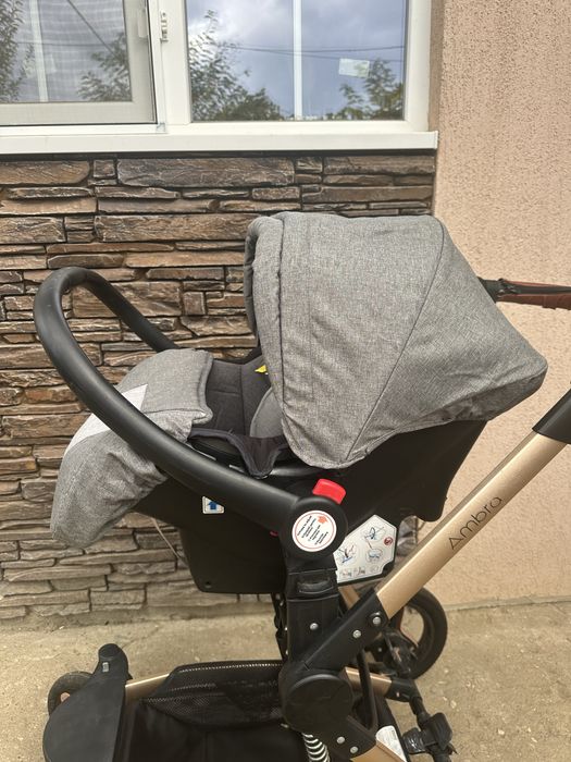 Carucior Ambra Cocolle