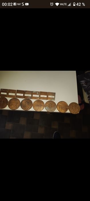 Medalii din bronz pentru apicultura