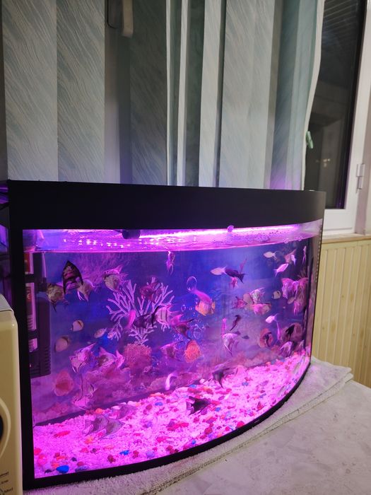 Akvarium 60Litr komplekt