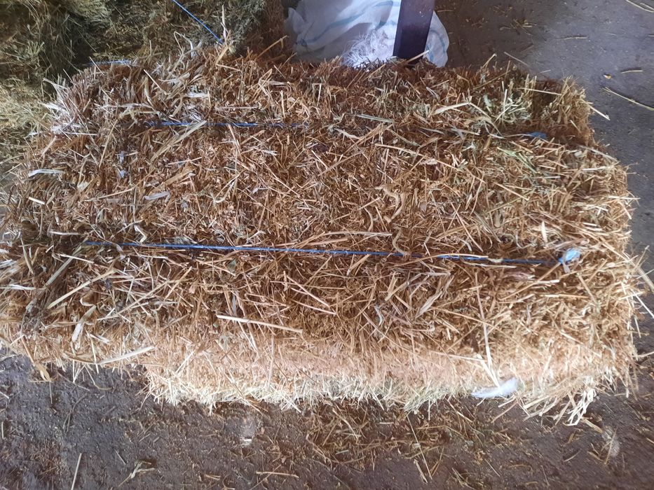 Vând baloți de lucernă