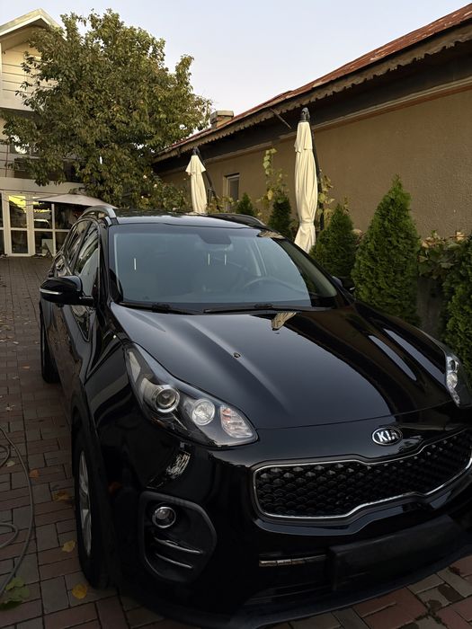 Polish auto si detailing