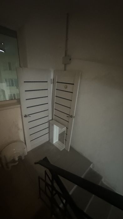 Бесплатно бесплатно