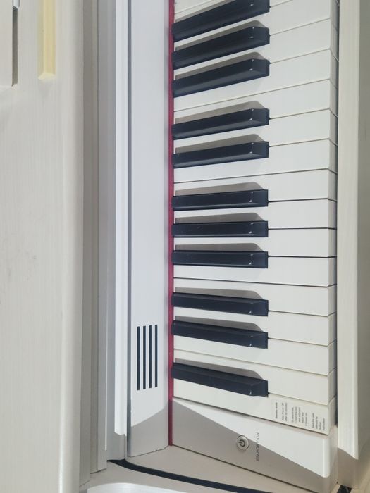 Pian digital de calitate  DP 50