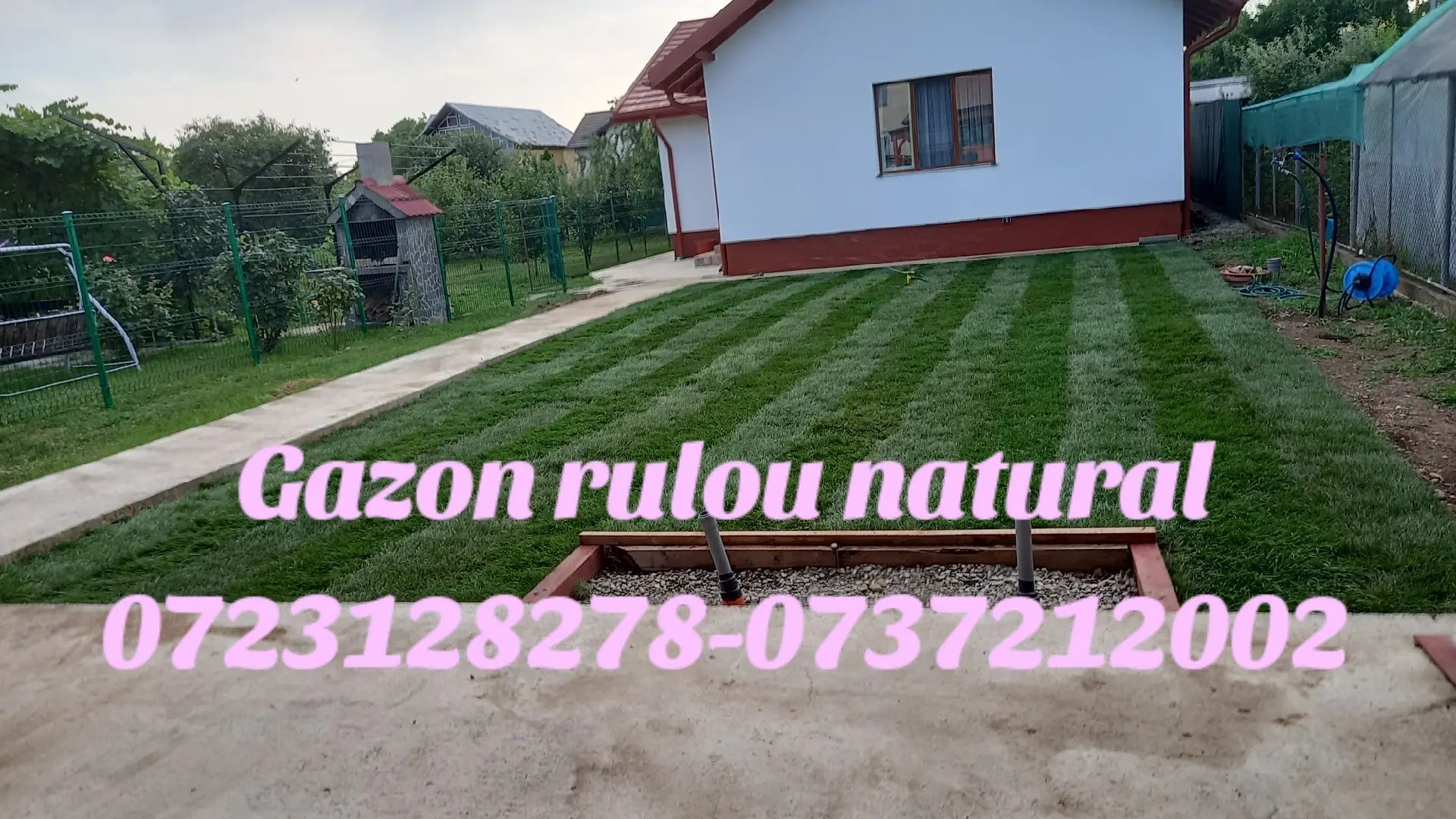 Gazon rulou natural