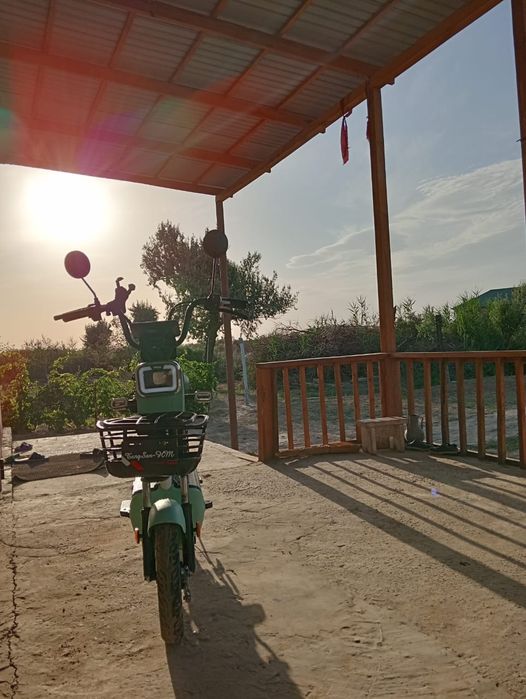 Ешнарсе керек емес