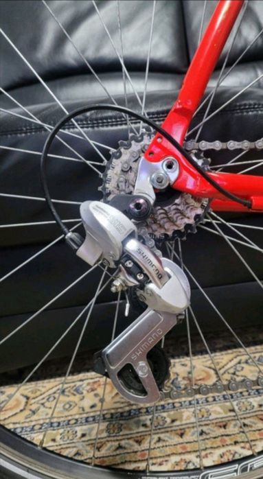 Toza germanskiy gonchik