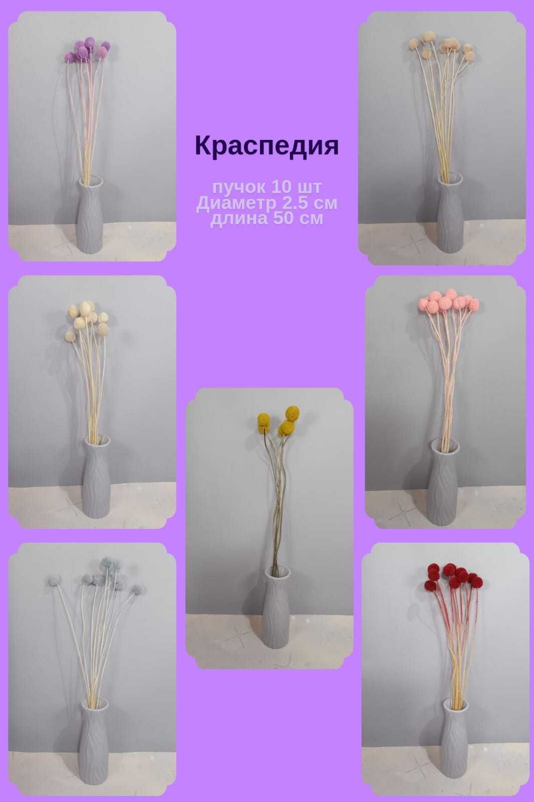 Сухоцветы и стабилизированные цветы широкий ассортимент
