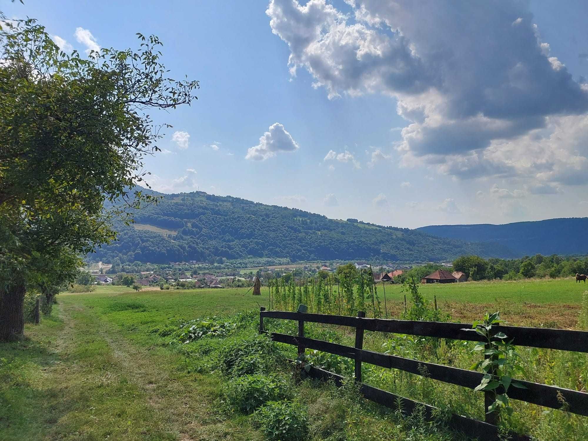 Teren de vânzare – 4827 mp | Ideal pentru casă sau pensiune
