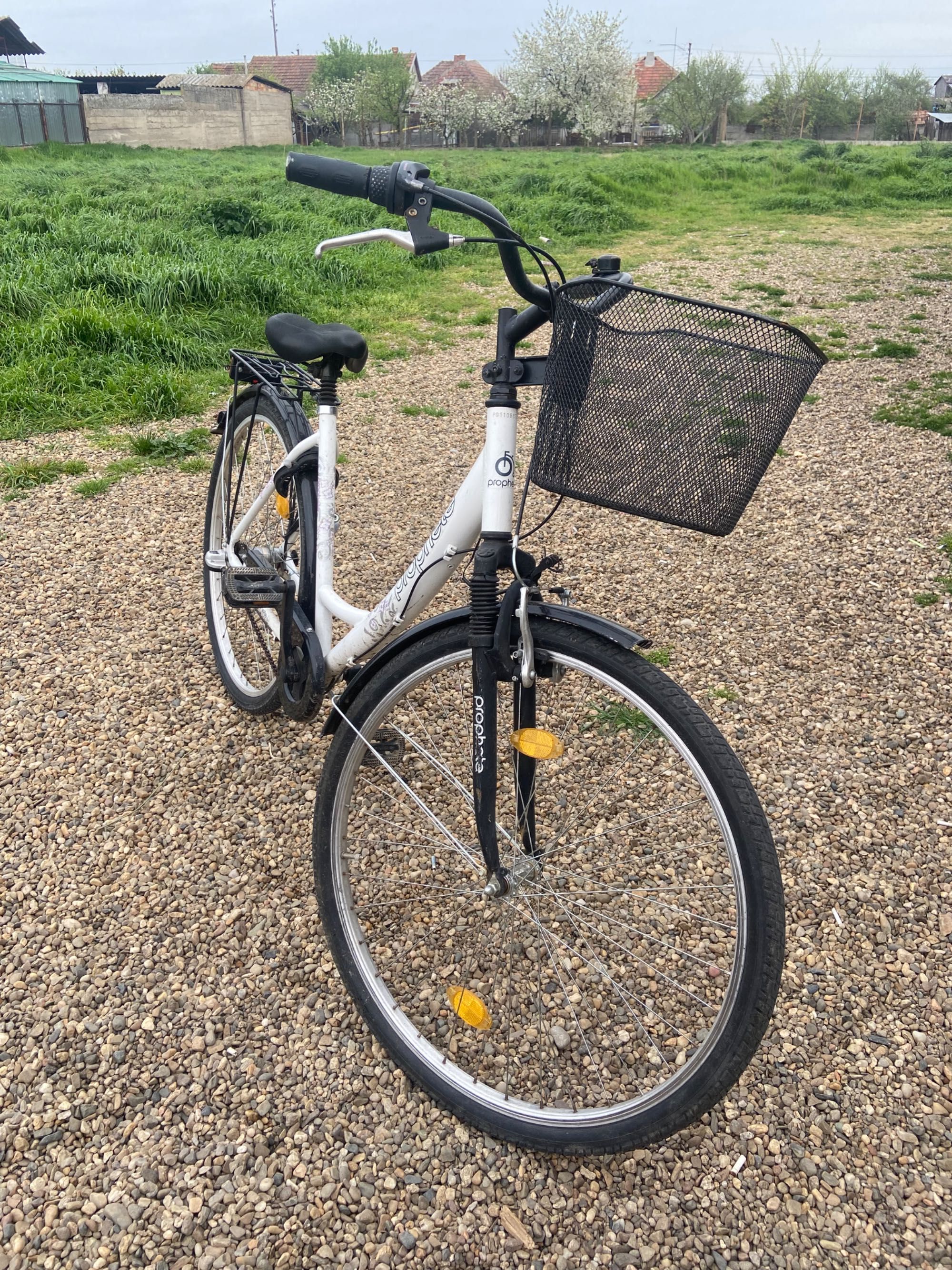 bicicleta de femei