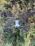 Продам дрон DJI mini 3