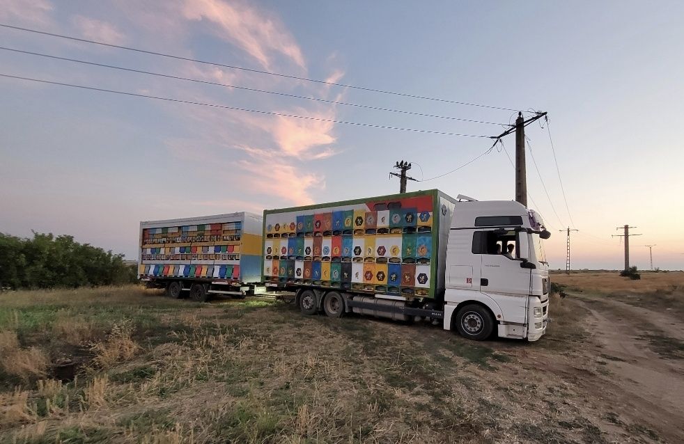 Se vinde camion tandem bdf 2011 și remorca 2013 folosit pentru apicult