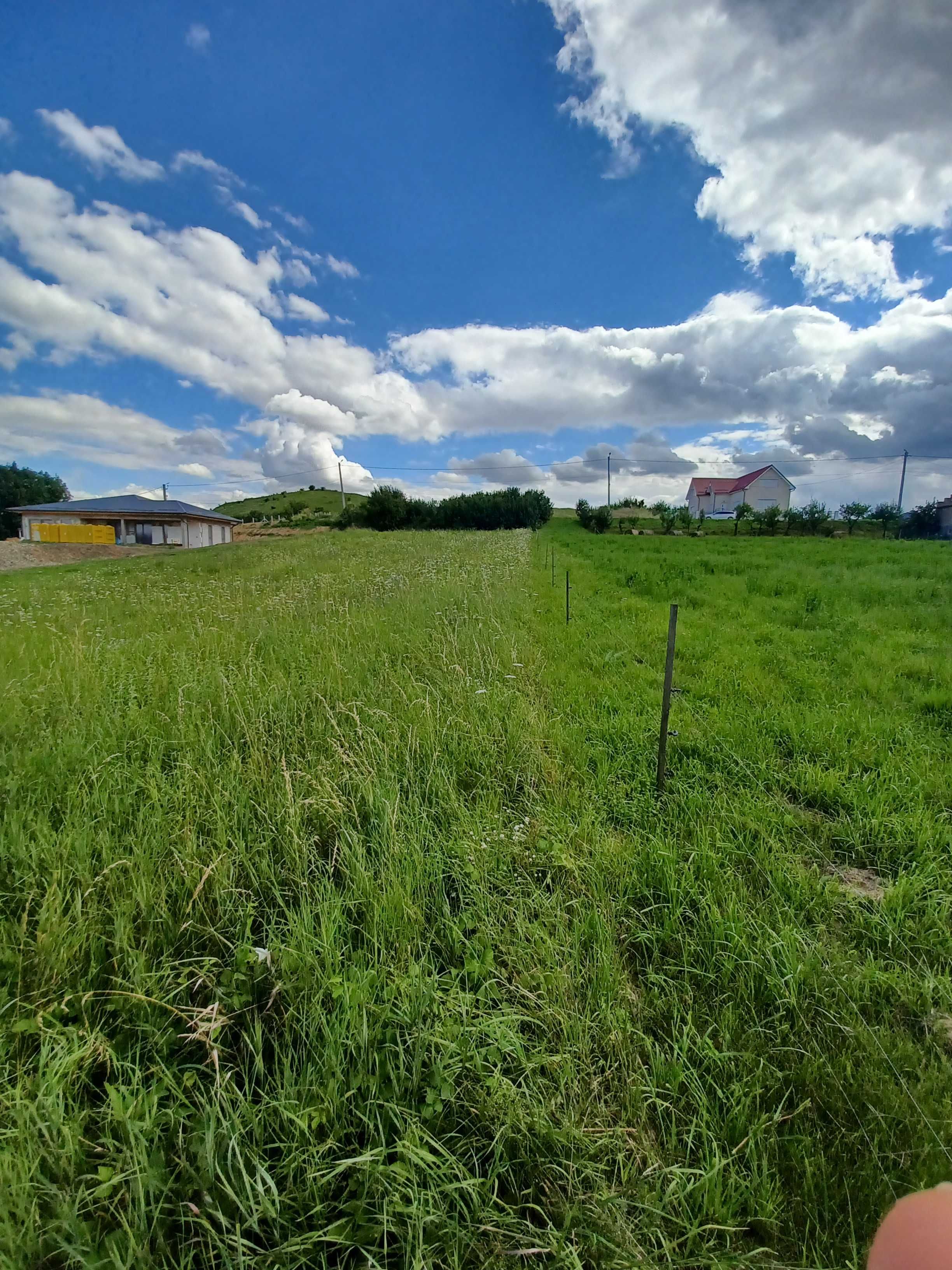 Teren intravilan de vanzare in Sandulesti