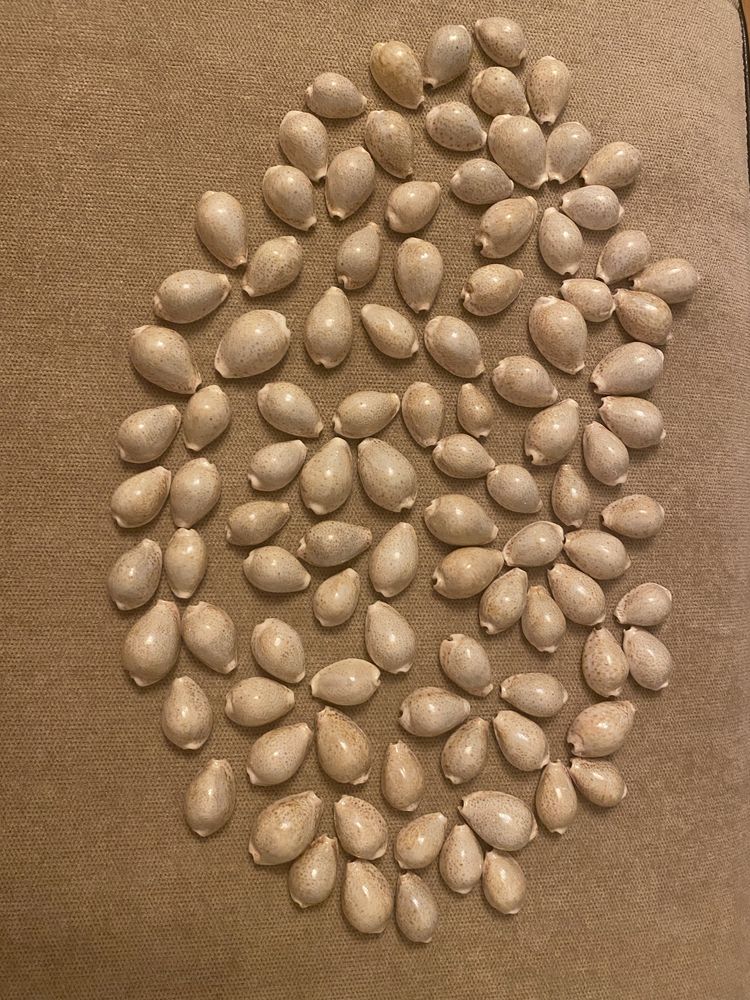 Cochilii melci(ghioci) mici - 100 bucati