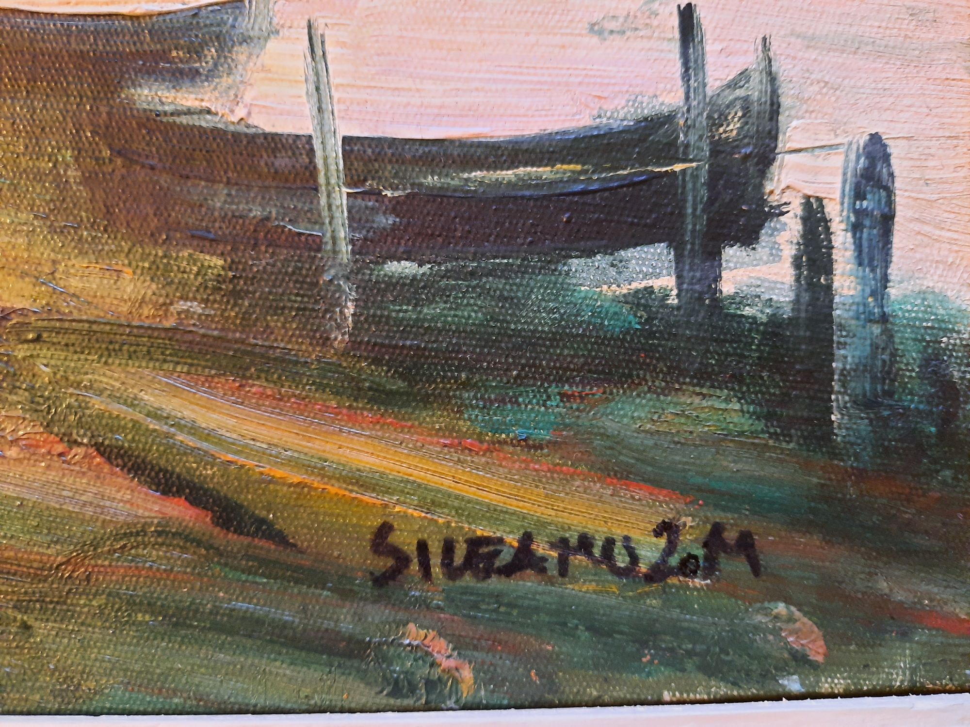 "În deltă", Ștefan Sileanu(n.1939- d.2020),u/p.