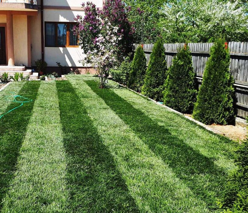 Gazon Natural Proaspăt – Transport și Montaj Incluse