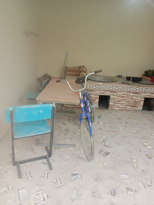 Велик сатылады багасы 10000 тенге