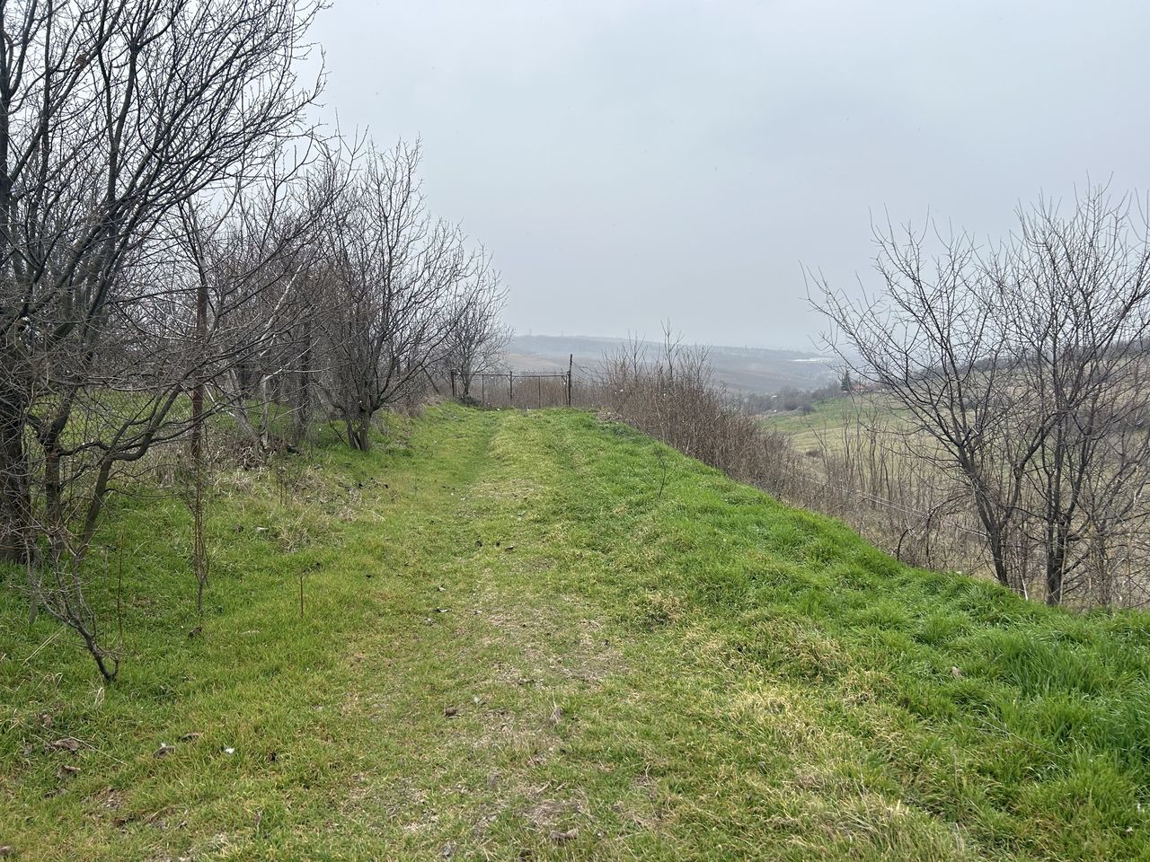 Продава се Парцел в с. Калипетрово, Област Силистра - 3000 кв.м за 3 €/кв.м - Снимка #2