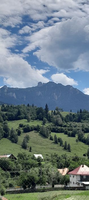 Teren vânzare în Ceahlău