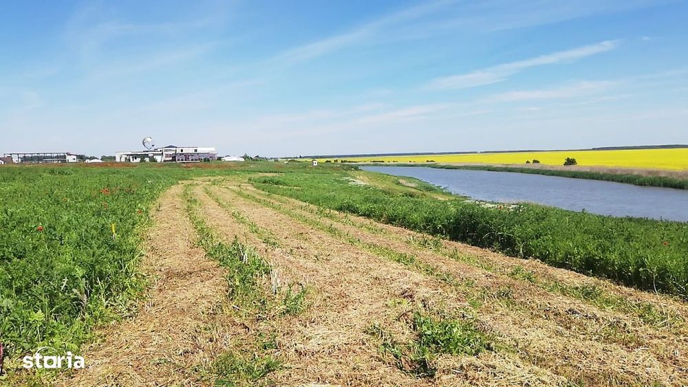 Teren Intravilan 450 mp cu Vedere la Lac - Frumusani