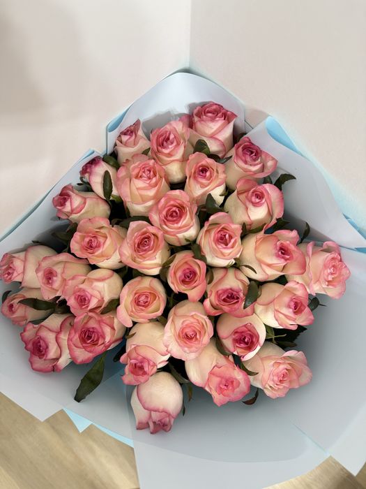 Свежие розы 31 штук