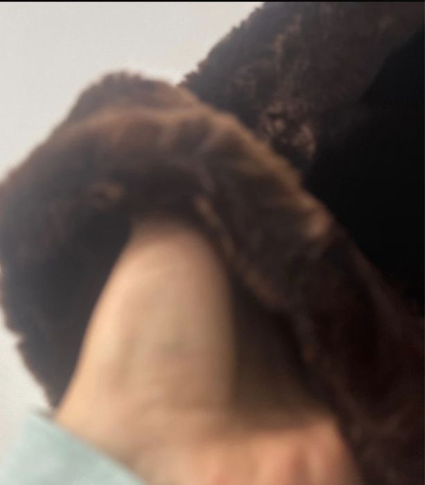 Haina de blana Mouton Dore