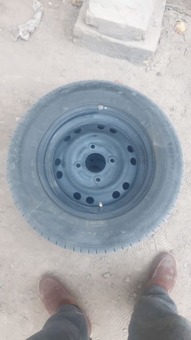 13 болон дикари билан