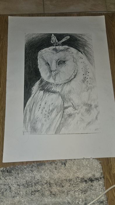 Desen original 50x70 cm în creion – Bufnița și fluturele