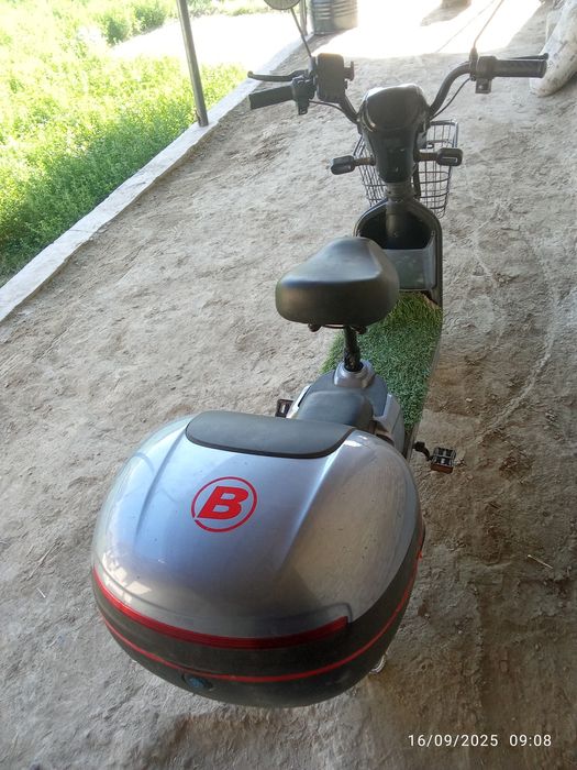 Sukuter sotiladi