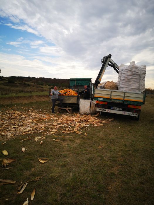 Vând Porumb Stiulete Olt