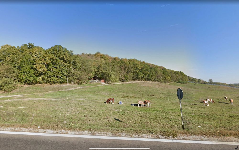 Teren intravilan 42.000 mp cu deschidere la DN7