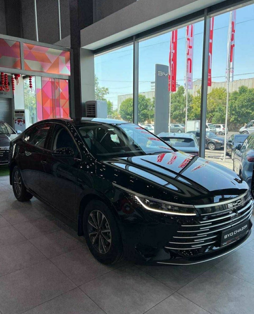 Byd chazor 2024. Позиция 2. Люк. 55 км ток.
