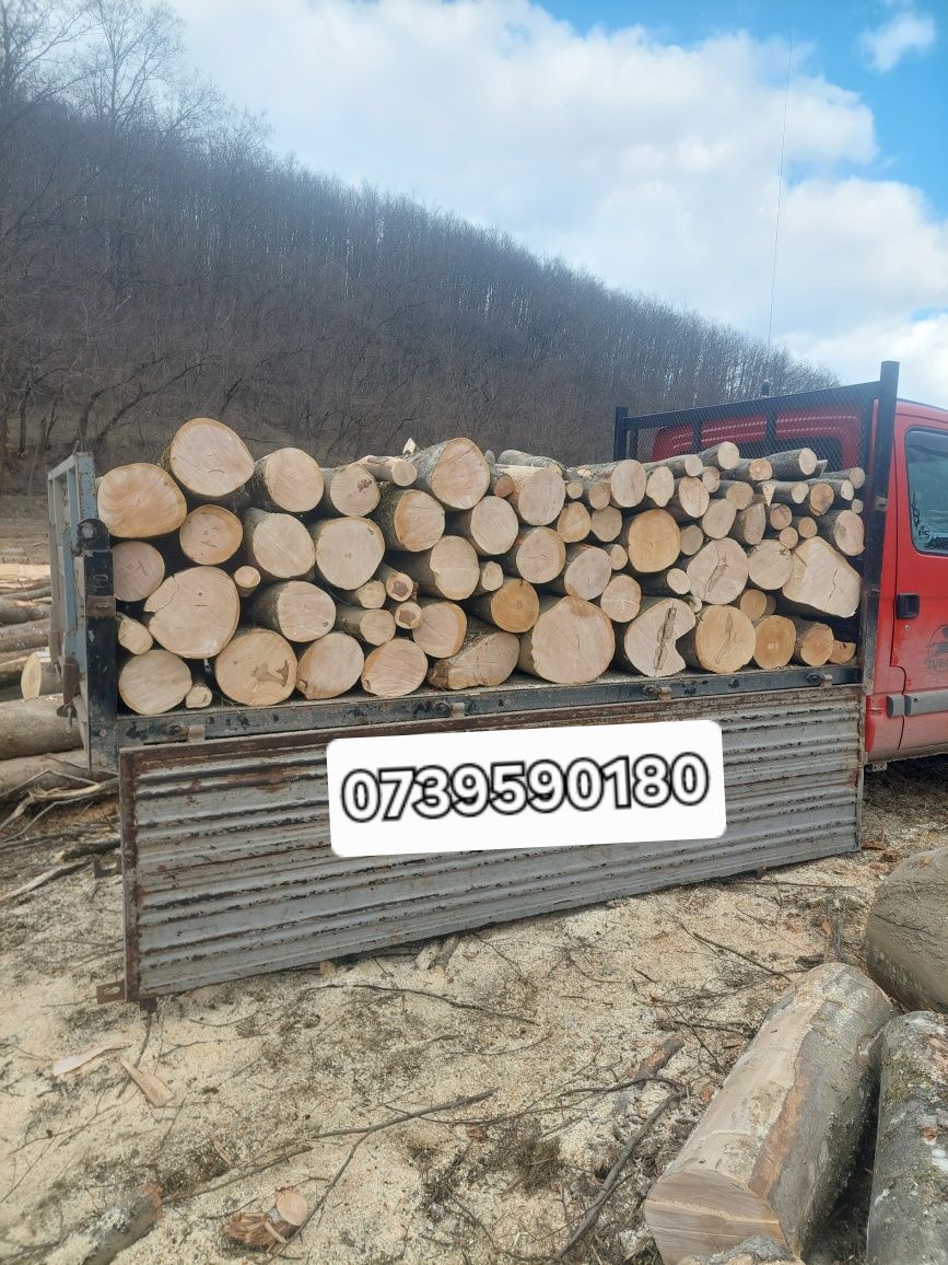 Lemn de foc esență tare