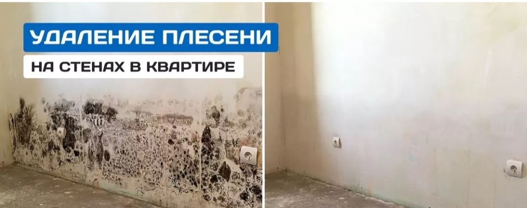 Удаление плесени, запахов, ртути, озонирование