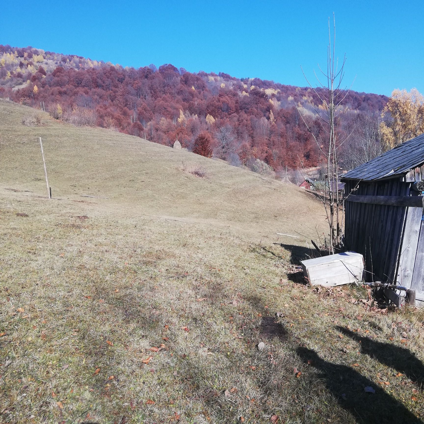 Teren de vânzare