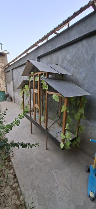 Qafas qush uchun baryer