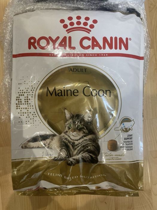 Royal Canin Maine Coon