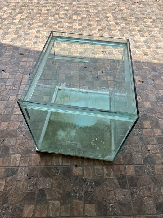 Vand acvariu pesti/ broaste testoase