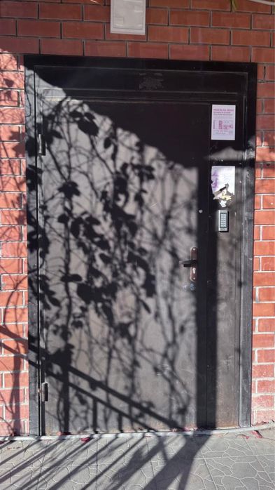 Металическая дверь