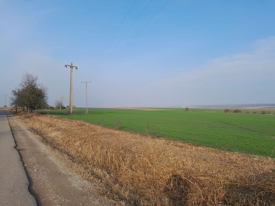 Vând teren extravilan 6 HA Marghita