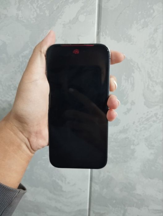 IPhone 14 pro dual sim