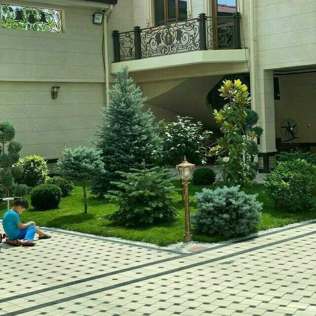 Lashafni dizayin boğbon xizmati