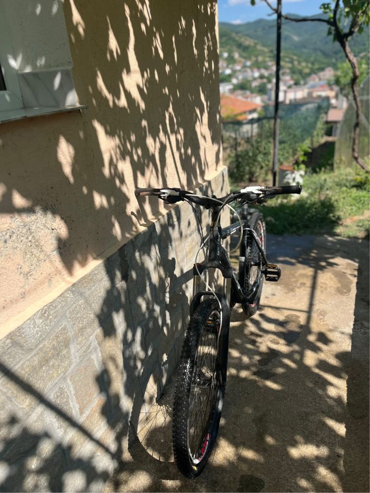 Sprint Apolon, Leader