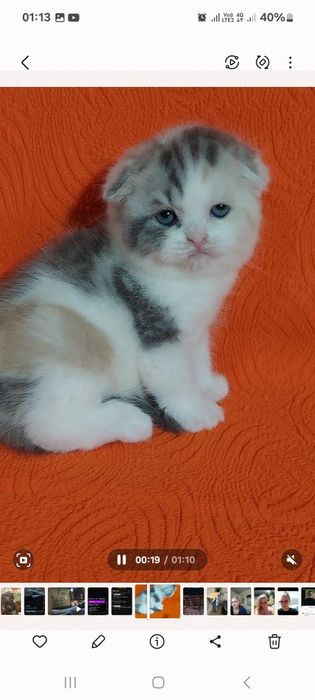 Продаётся  замечательная  девочка  ей месяца  только  бронь