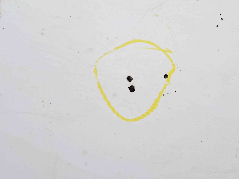 Capota Citroen Jumpy (II) [Fabr 2007-prezent] EWP