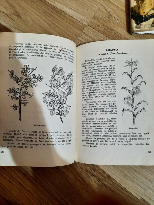Plantele medicinale in apararea sanatatii carti vechi